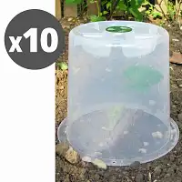 Cloches potagères à forcer - lot de 10  Cloches potagères à forcer - lot de 10