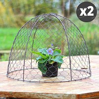 Cloche de protection en grillage à poule haut.36cm - lot de 2