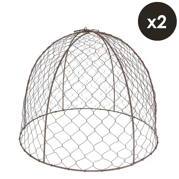 cloche protection culture cloche protection culture