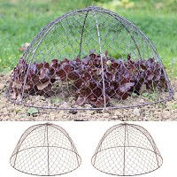 Cloche de protection en grillage à poule haut.26cm, lot de 2