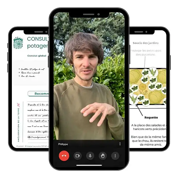 coaching potager visio coaching potager visio