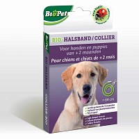 Collier insectifigue pour Chien - écologique