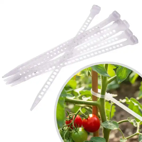 collier serrage plastique transparent