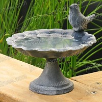 Mangeoire oiseau coupelle