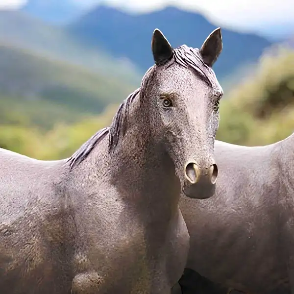 couple chevaux montagne B1309