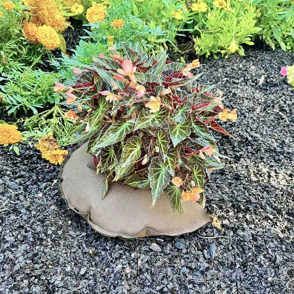 coussin arrosage treebed plantes demi cercle