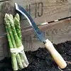 Couteau à asperges acier carbone