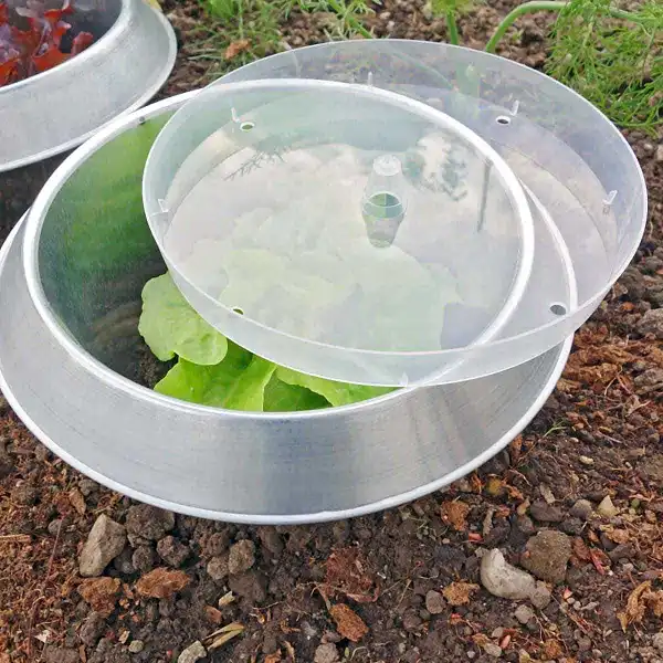 couvercle anneau stop limace  couvercle anneau stop limace