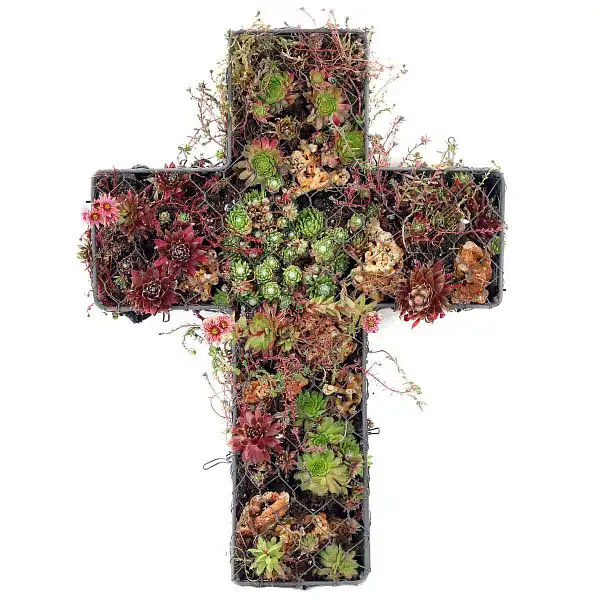 croix funeraire garnie plantes sedums