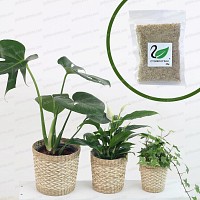 Cygnes d'eau Grains rétenteurs et distributeurs d'eau - Sachet de 25g