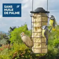 Cylindre de graisse pour oiseaux sans huile de palme