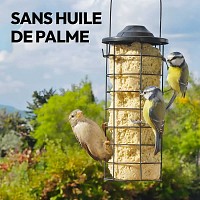 Cylindre de graisse pour oiseaux sans huile de palme