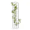 Treillis mural - grille arrondie pour plante grimpante en acier brun L.30 x H.140 cm