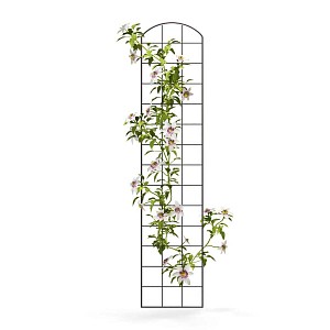 Treillis mural - grille arrondie pour plante grimpante en acier brun L. 30 x H. 140cm