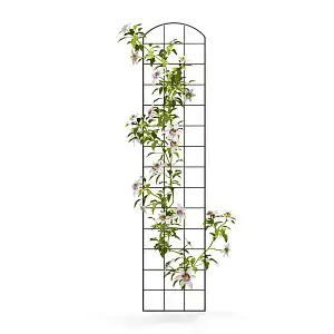 Treillis mural - grille arrondie pour plante grimpante en acier brun L. 30 x H. 140cm