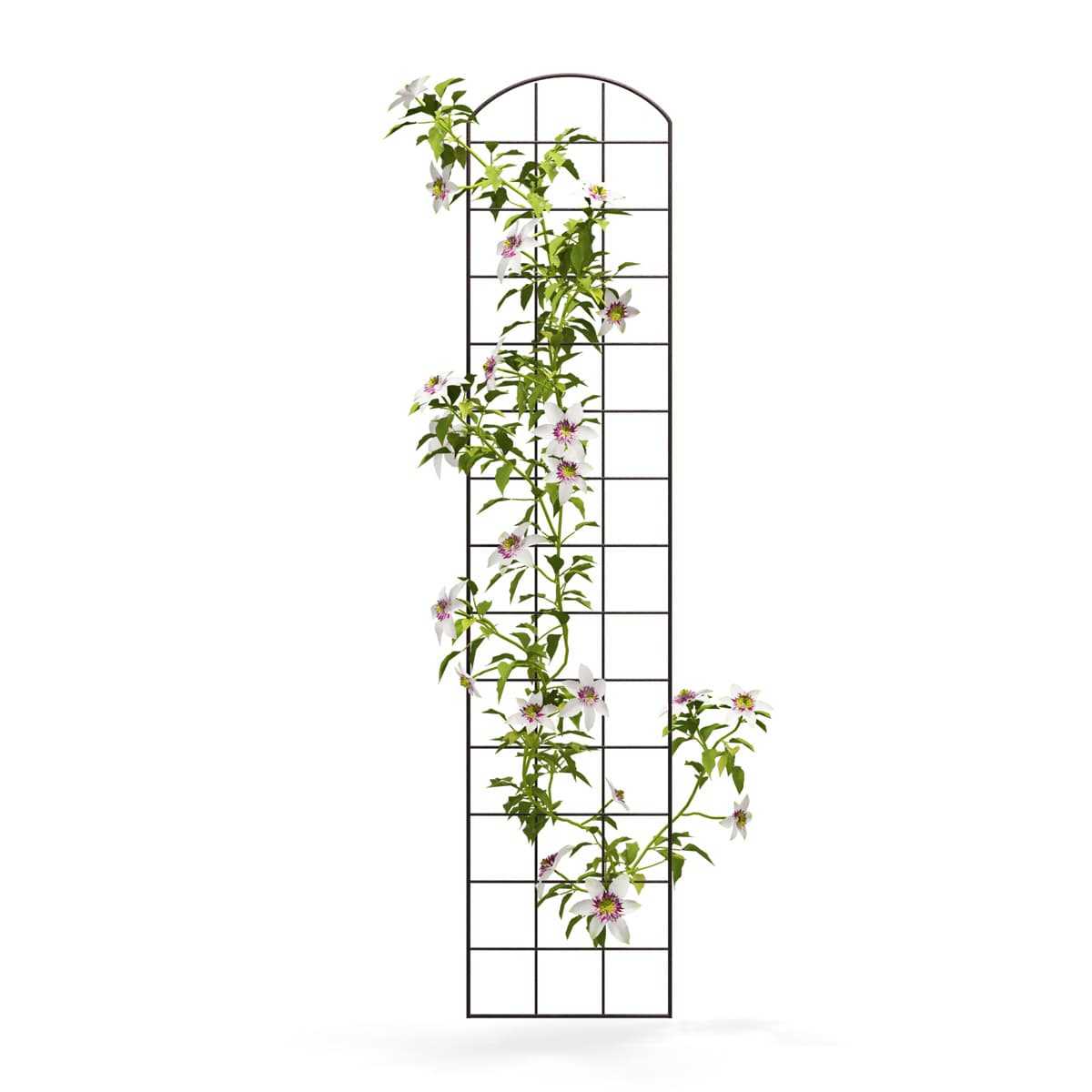 dafe41 140cm