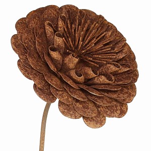 Tuteur fleur Dahlia en fer brut 22cm
