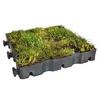 Dalle pré-végétalisée pour allée carrossable 100x133cm - 1,33m2