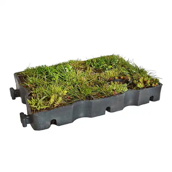 dalle pre vegetalisee 33x99cm