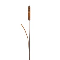 Roseau de marais sur tige en métal rouillé H.118 cm