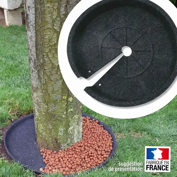 disque decoration arbuste