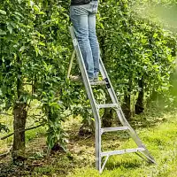 Echelle fruitière tripode Mimax - Escabeau de jardin  Echelle fruitière tripode Mimax - Escabeau de jardin