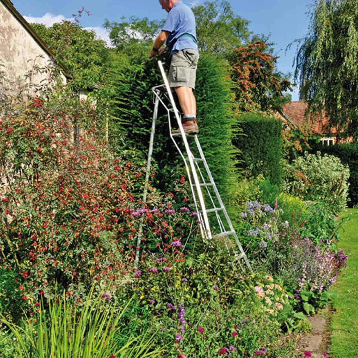 Comment choisir une echelle d exterieur pour les travaux de jardinage ? - Quelles sont les conditions de securite a respecter pour travailler sur une echelle ? 
