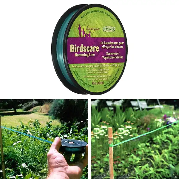 effaroucheur oiseaux bobine  effaroucheur oiseaux bobine