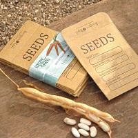 Enveloppe kraft à semis et graines - pack de 20