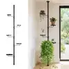 Etagère porte plante 5 niveaux - hauteur réglable 2,40m à 3m