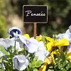 Étiquettes ardoise et bois pour plante d'intérieur