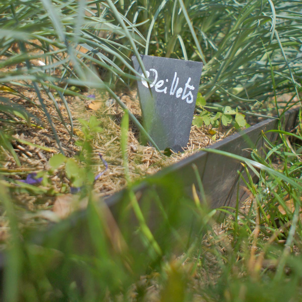 Choisir des etiquettes en ardoise pour marquer le nom des plantes et aromatiques - 