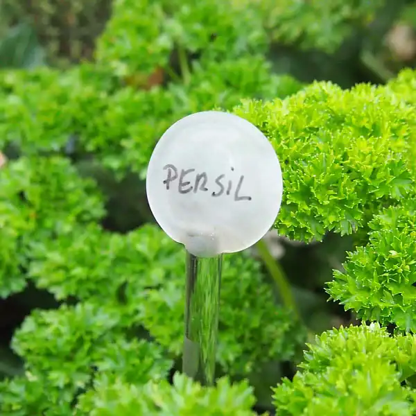 etiquette plantes verre