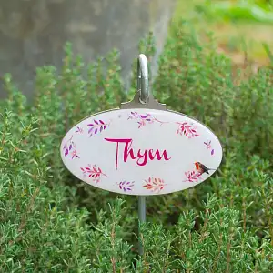Etiquette de jardin plante aromatique Vintage