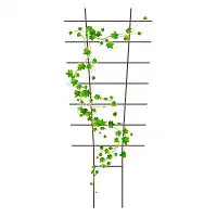 Treillage éventail en acier pour pot et balcon H. 77cm  Treillage éventail en acier pour pot et balcon H. 77cm
