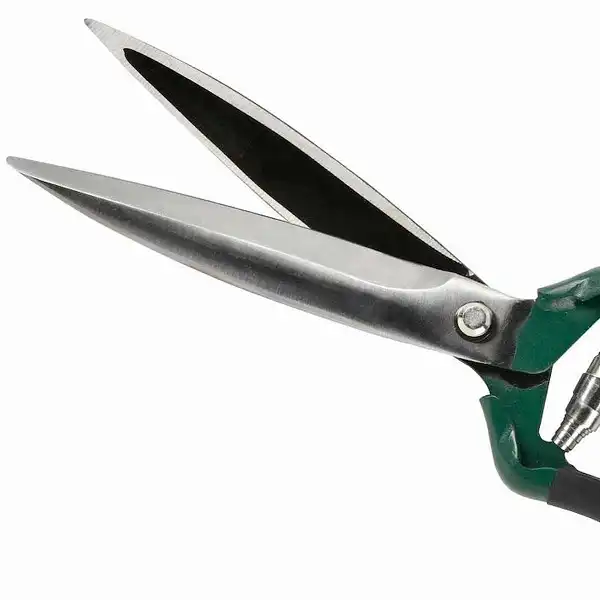 Ciseau outil jardins