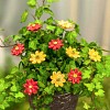 Fleur en céramique sur tige à planter - Petite marguerite jaune