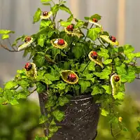 Fleurs sauvages en céramique sur tige à planter - Déco jardin