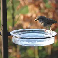 Multi station alimentation oiseaux