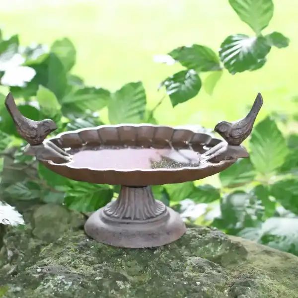 abreuvoir oiseau vintage fonte