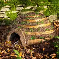 Abri hérisson - igloo 22 cm