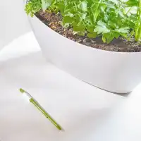 Testeur d'humidité pour plantes - Indicateur d'arrosage SUStee pour savoir quand arroser