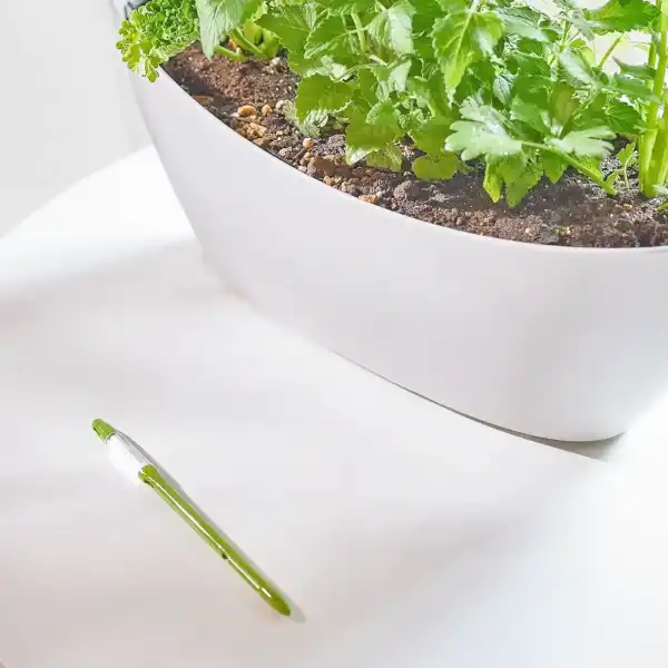 aide arrosage plante