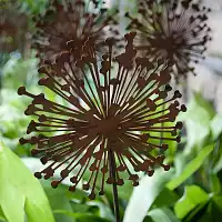 Allium sur tige en métal rouillé  Allium sur tige en métal rouillé