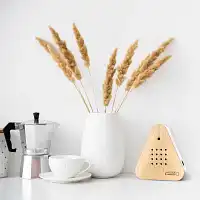 Boite à musique - Son de la nature  Boite à musique - Son de la nature