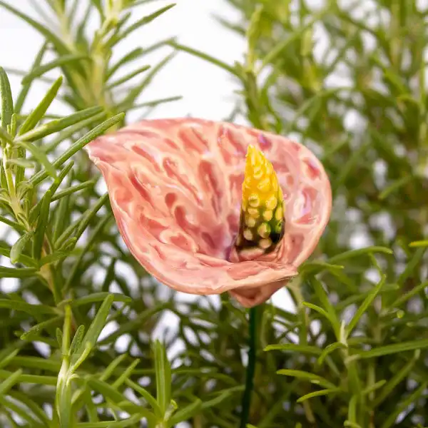 anthurium fleur deco rose clair