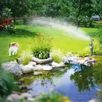 Répulsif animaux à jet d'eau pour massifs et bassins - Détecteur de mouvement anti-chats, oiseaux et hérons