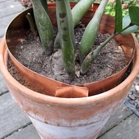 Anti limaces bandes de cuivre, Lot de 5 bandes de 59cm