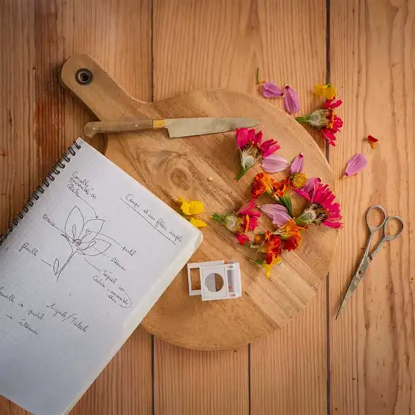 apprendre le fontionnement des plantes