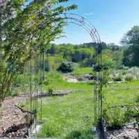 Arche de jardin arrondie en acier corten Arcade - L.141 x l.45 x H.240cm